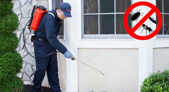 Gölcük Bit İlaçlama böcek ilaçlama ve haşere kontrolü — ilaclama-tr.com